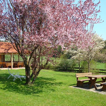 Апартаменти Giglerhof Бад-Бірнбах Екстер'єр фото